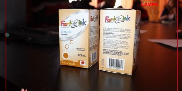 COMUNA LAMPEÑA REALIZO REUNIÓN DE LA INSTANCIA DE ARTICULACIÓN LOCAL PARA TRATAR EL TEMA DE ESTRATEGIAS PARA REDUCCIÓN DE LA ANEMIA CON EL SUPLEMENTO “FORTI ZINK”