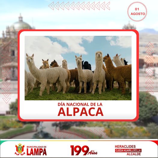 453219234_474334962222499_7425673272290859303_n