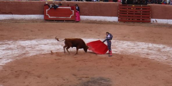 453622035_473184695670859_3507371839554624633_n